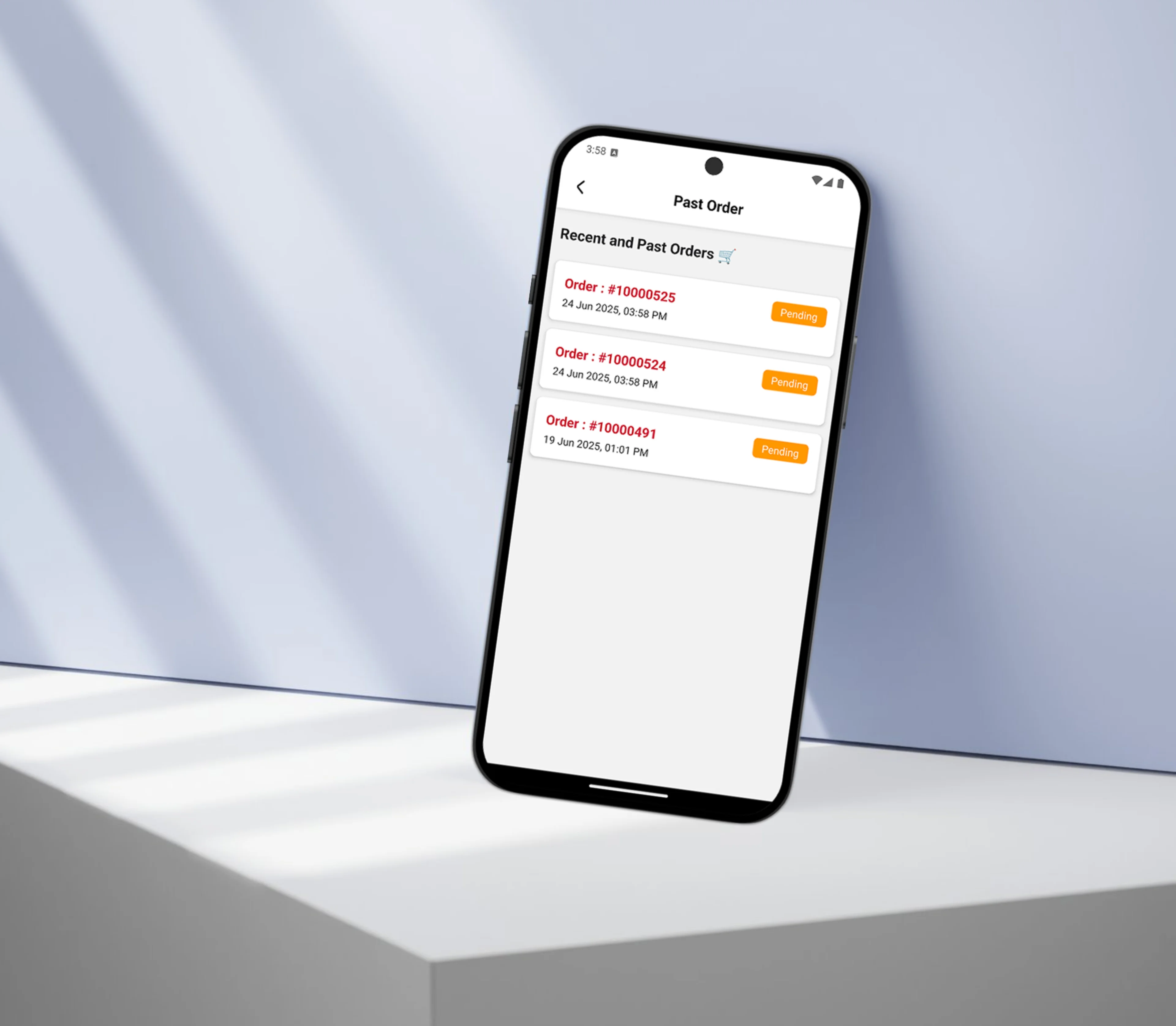 Project Preview