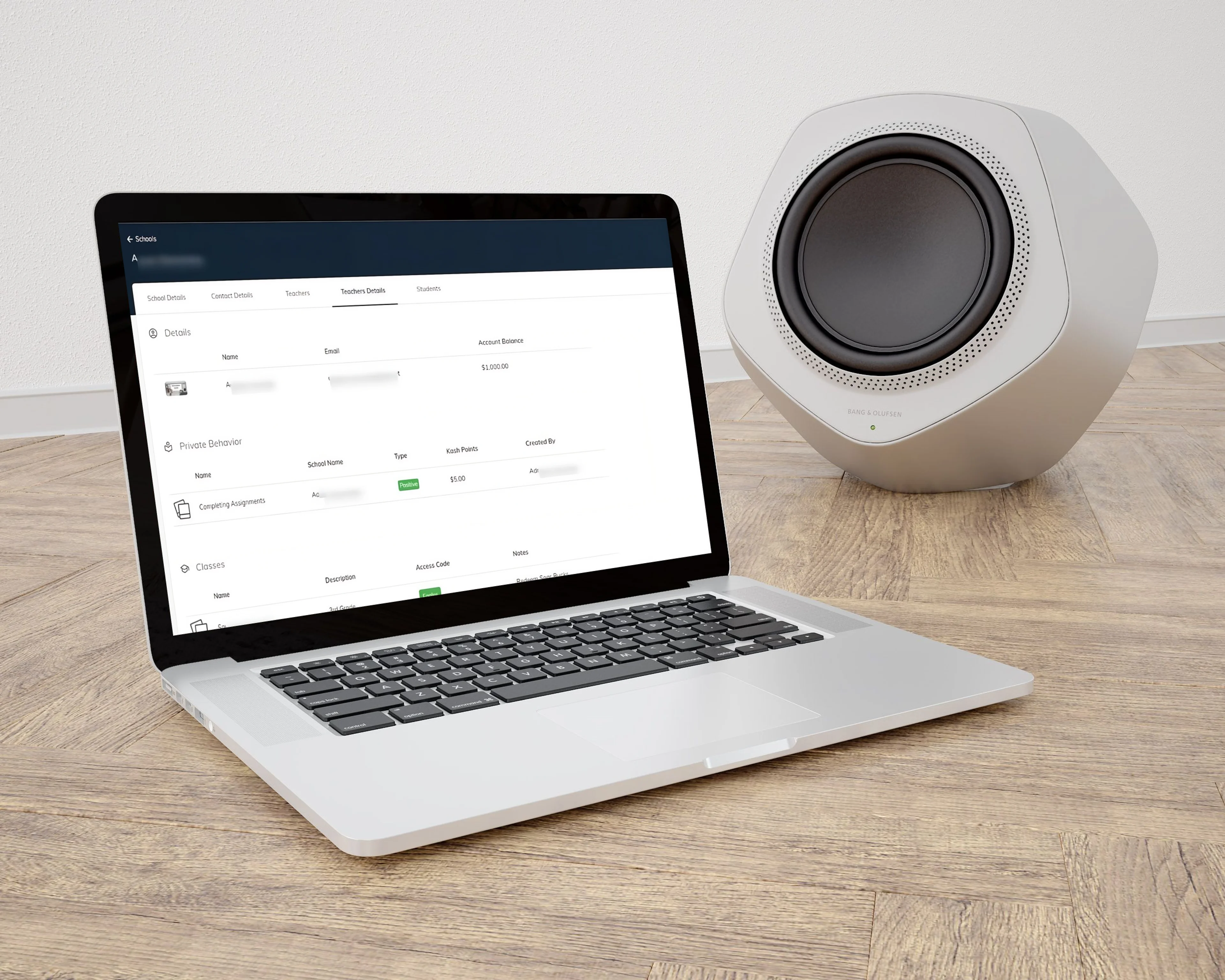 Project Preview